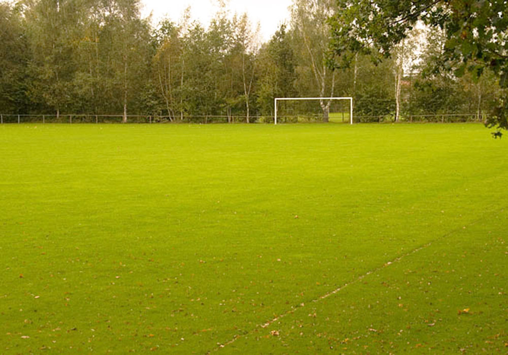 Fotballleir til Eibergen 1 Fotbollslager Eibergen 02
